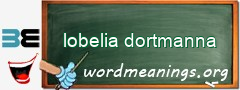 WordMeaning blackboard for lobelia dortmanna